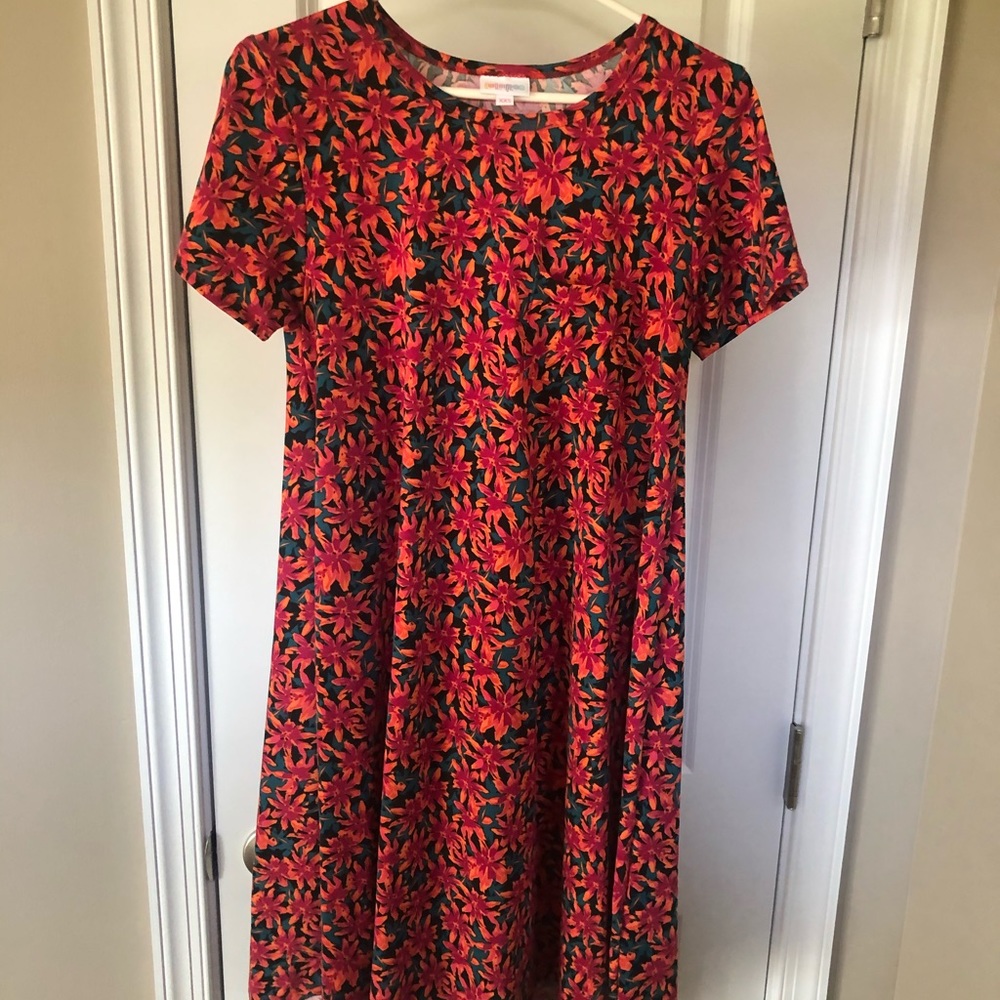 Lularoe Carly Floral Dress size XXS